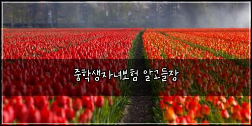 중학생자녀보험 알고들장 