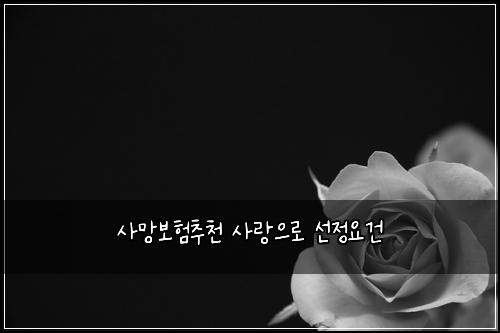 사망보험추천 사랑으로 선정요건
