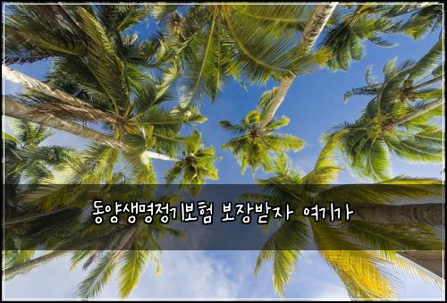 동양생명정기보험 보장받자  여기가