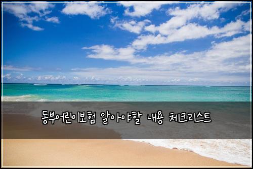 동부어린이보험 알아야할 내용 체크리스트