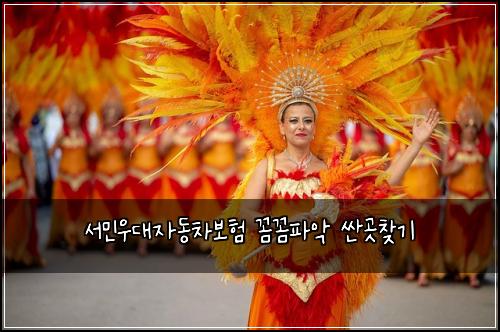 서민우대자동차보험 꼼꼼파악  싼곳찾기