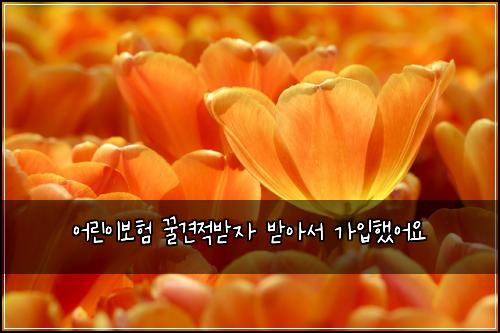 어린이보험 꿀견적받자  받아서 가입했어요