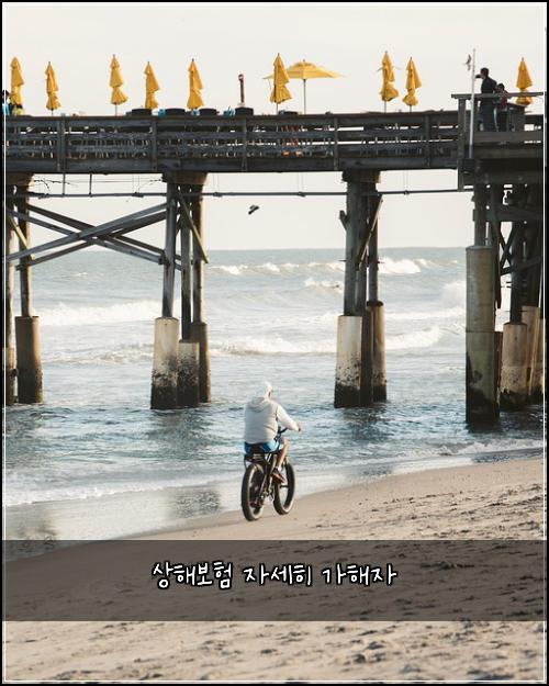 상해보험 자세히  가해자