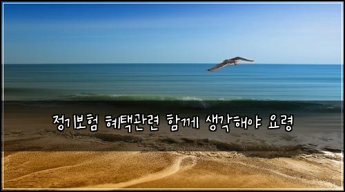 정기보험 혜택관련  함께 생각해야 요령