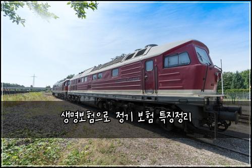 생명보험으로 정기 보험 특징정리