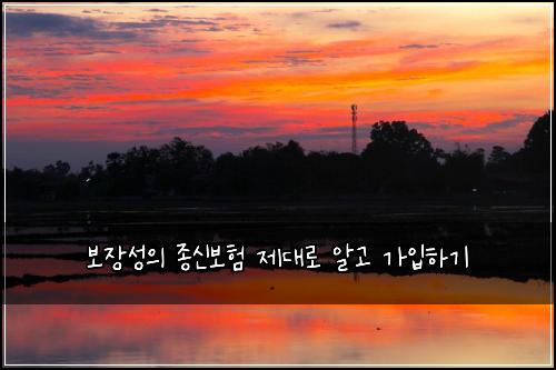 보장성의 종신보험 제대로 알고 가입하기