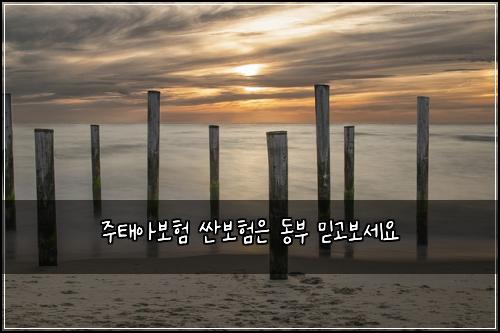 주태아보험 싼보험은 동부 믿고보세요