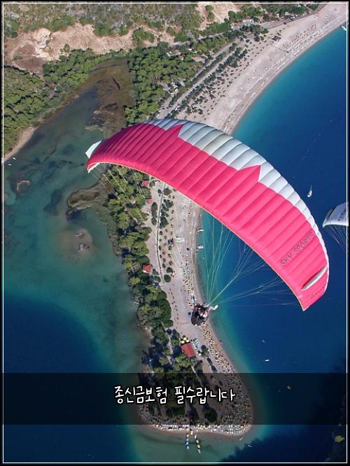 종신금보험 필수랍니다 