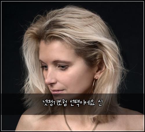 넷정기보험 선택이에요  신