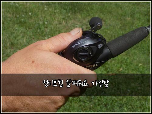정기보험 살펴둬요  가입할