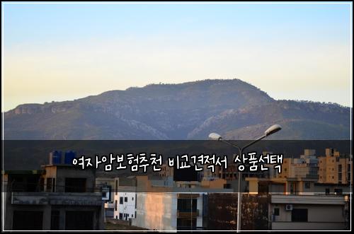 여자암보험추천 비교견적서 상품선택