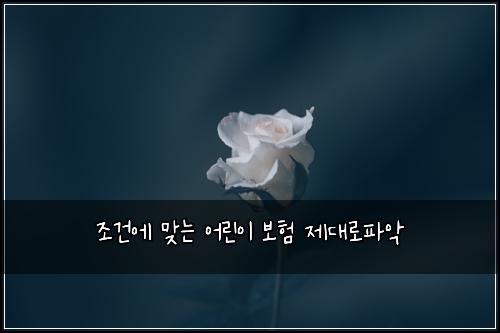 조건에 맞는 어린이 보험 제대로파악 