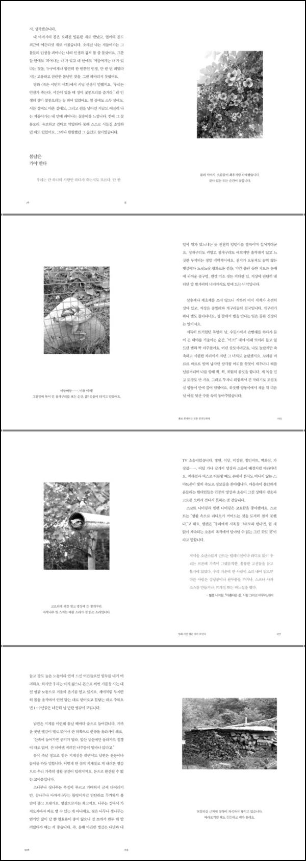 자연에서 얻는 힐링 모먼트: Slow Life_76
