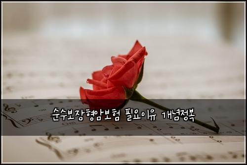 순수보장형암보험 필요이유  개념정복