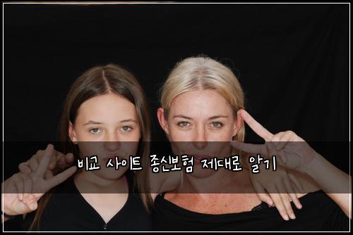 비교 사이트 종신보험 제대로 알기