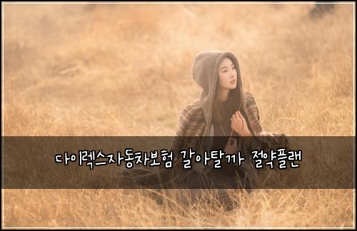 다이렉스자동차보험 갈아탈까  절약플랜