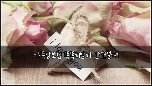 가족암보험 똑똑히받기  간편설계