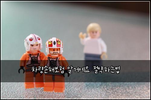 차량손해보험 알거에요  절약하는법
