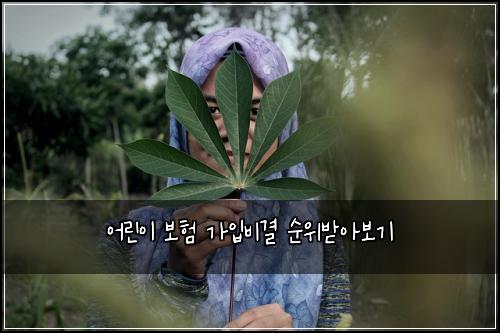 어린이 보험 가입비결  순위받아보기