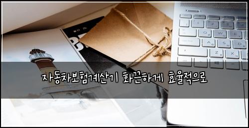 μλ차보νκ³μ°κΈ° νλνκ² ν¨μ¨μ μΌλ‘