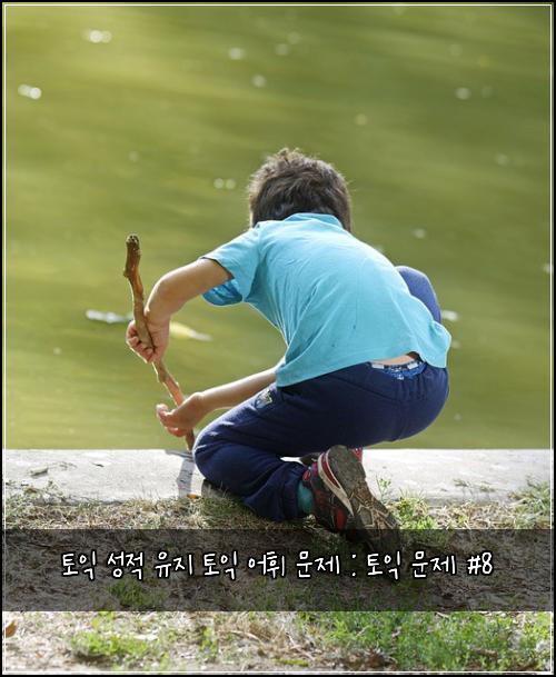 토익 성적 유지 토익 어휘 문제 : 토익 문제 #8
