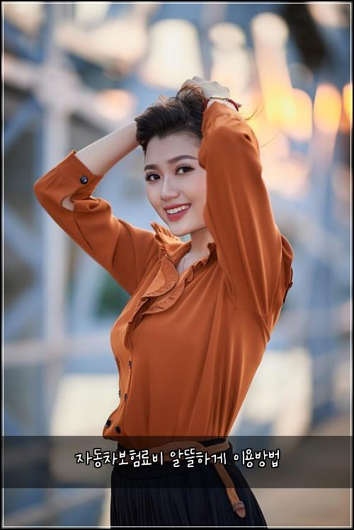 자동차보험료비 알뜰하게 이용방법