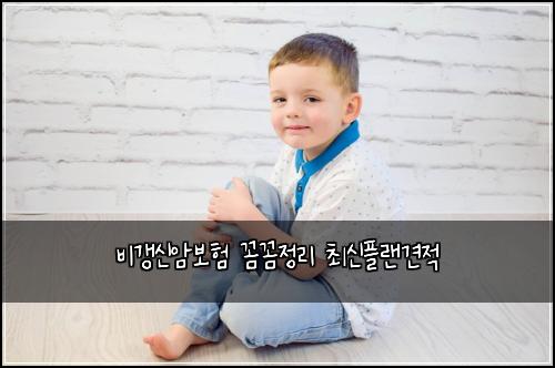 비갱신암보험 꼼꼼정리  최신플랜견적
