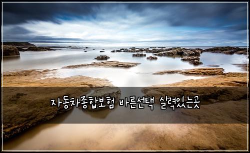 ์๋์ฐจ์ข
ํฉ๋ณดํ ๋ฐ๋ฅธ์ ํ ์ค๋ ฅ์๋๊ณณ