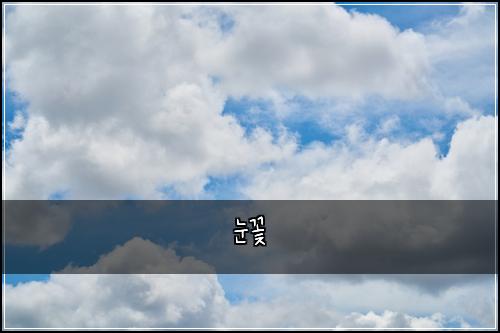 눈꽃