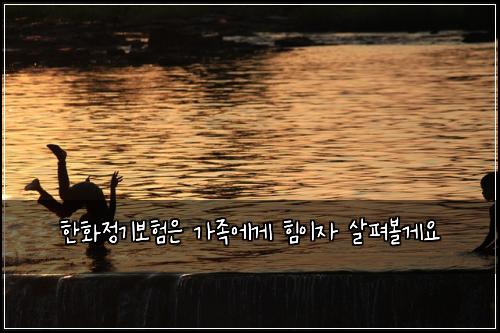 한화정기보험은 가족에게 힘이자 살펴볼게요