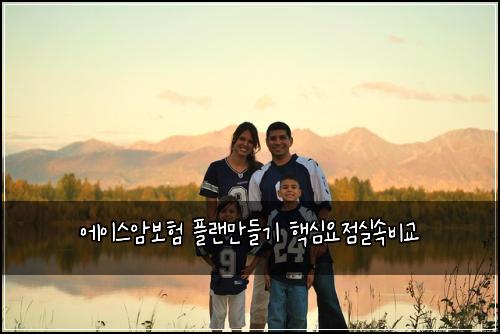 에이스암보험 플랜만들기  핵심요점실속비교