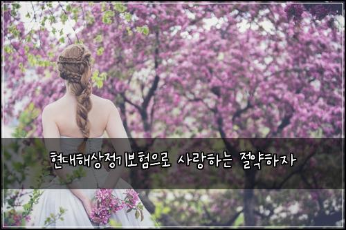현대해상정기보험으로 사랑하는 절약하자