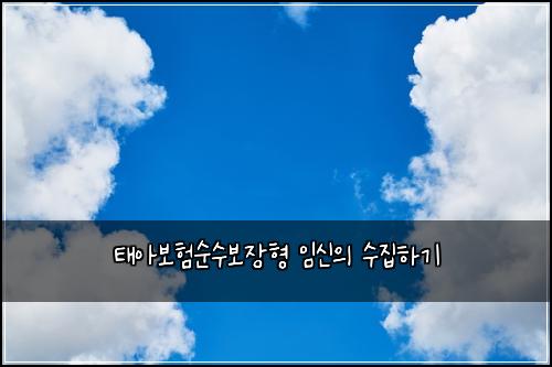 ํ์๋ณดํ์์๋ณด์ฅํ ์์ ์ ์์งํ๊ธฐ