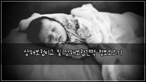 상해보험비교 및 상해보험견적 정보모으기