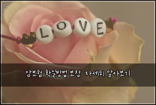 암보험 확실방법  보장 자세히 알아보기