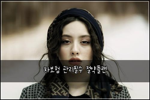 ์ฐจ๋ณดํ ๊ด๋ฆฌํ์ ์ ์ฝํ๋