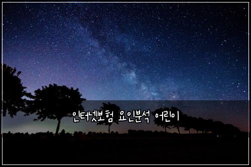 인터넷보험 요인분석  어린이