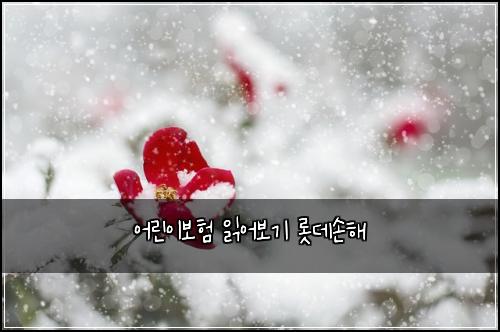 어린이보험 읽어보기  롯데손해