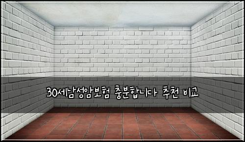 30세남성암보험 충분합니다  추천 비교