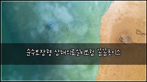 순수보장형 상해의료실비보험 꼼꼼초이스 