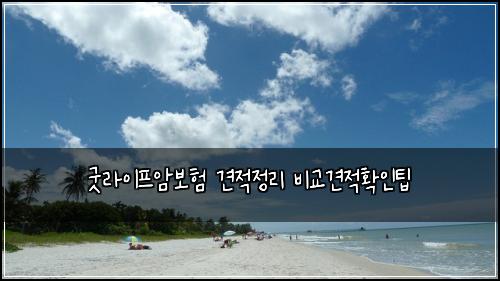 굿라이프암보험 견적정리  비교견적확인팁