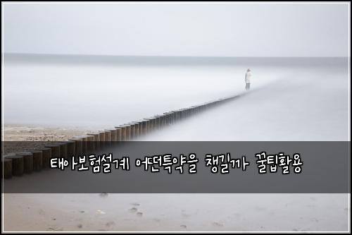 태아보험설계 어떤특약을 챙길까 꿀팁활용