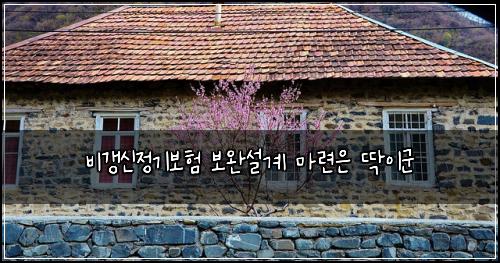 비갱신정기보험 보완설계  마련은 딱이군