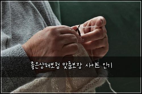 좋은상해보험 맞춤보장  사이트 인기