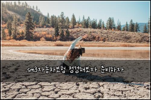 sm3자동차보험 점검해보자  준비하자