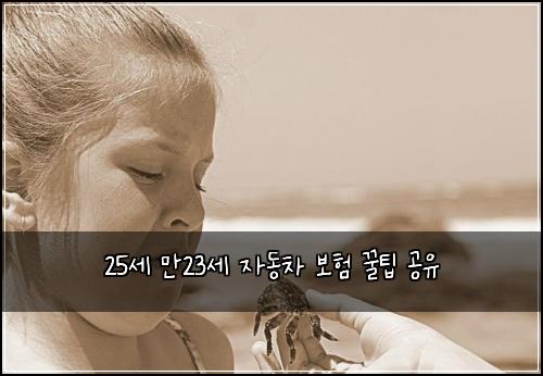 25세 만23세 자동차 보험 꿀팁 공유