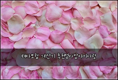 ํ์๋ณดํ ๊ณ์ฐ๊ธฐ ์ถ์ฒ์๋ง๋ง์์ด์ฌ๋