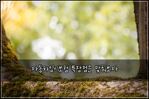 자동차임시보험 특장점은  맞춰보자