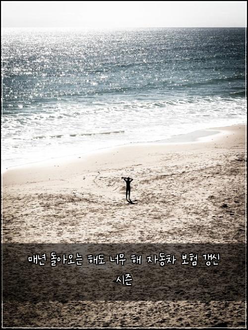 매년 돌아오는 해도 너무 해 자동차 보험 갱신 시즌