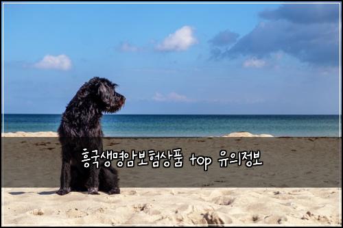 흥국생명암보험상품 top 유의정보